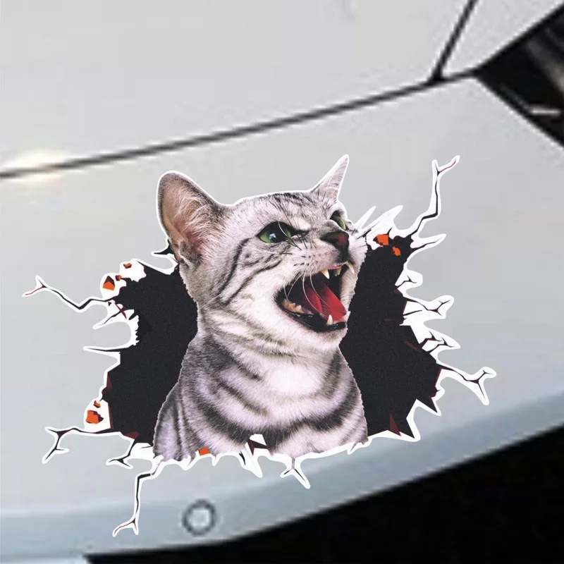 3D Simulation of Cute Cats Pee - 3D Printing Car のレビューと価格