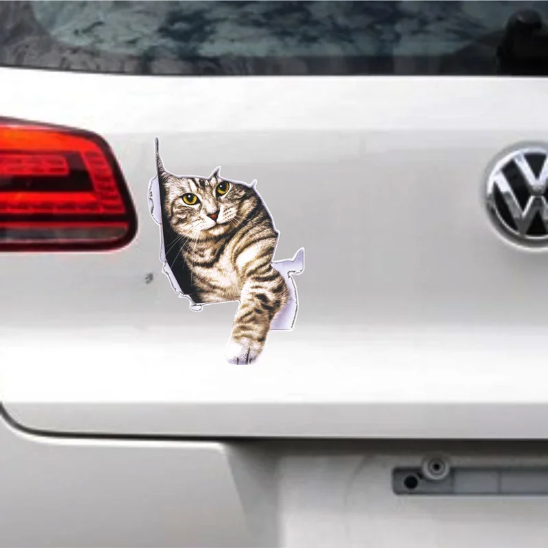 3D Simulation of Cute Cats Pee - 3D Printing Car のレビューと価格